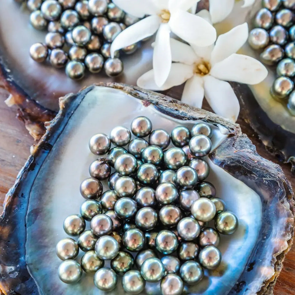 The South Sea Pearl Blog The South Sea Pearl