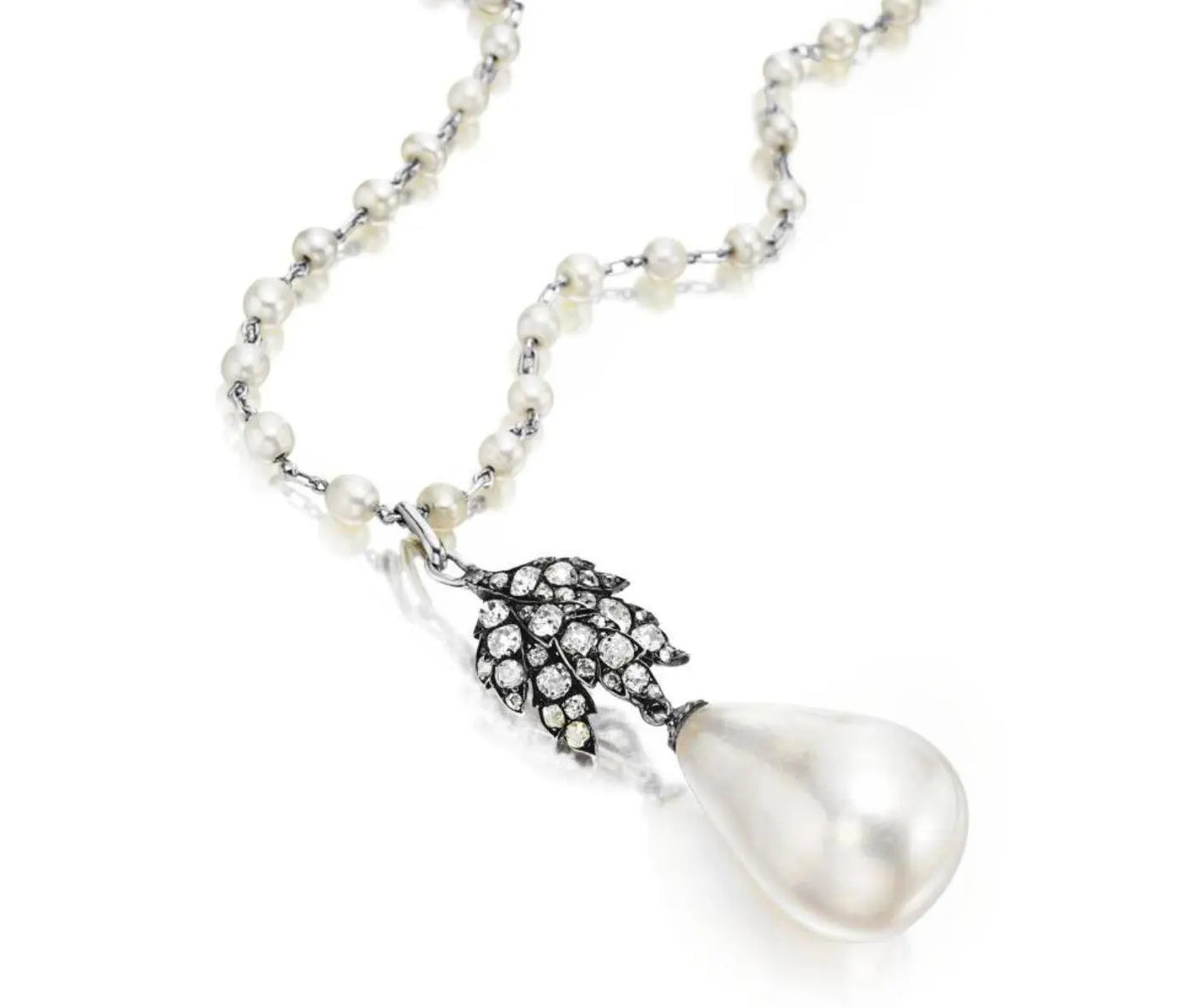 Wat weet jij over La Perla Peregrina? - De Zuidzee Parel – The South ...