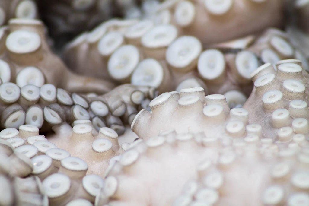 The Hidden Green Side of Tahitian Pearl Farming