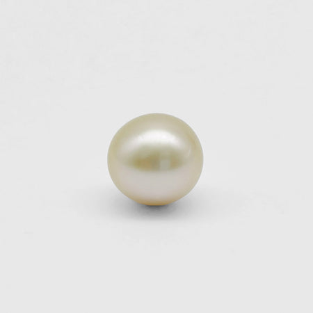 South Sea pearl Loose 11.7mm golden round — The South Sea Pearl
