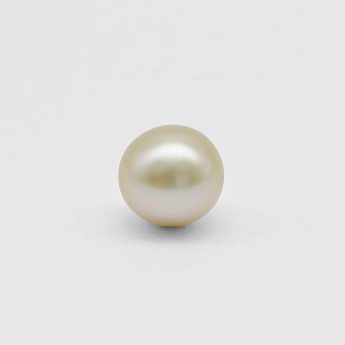 South Sea pearl Loose 11.7mm golden round — The South Sea Pearl
