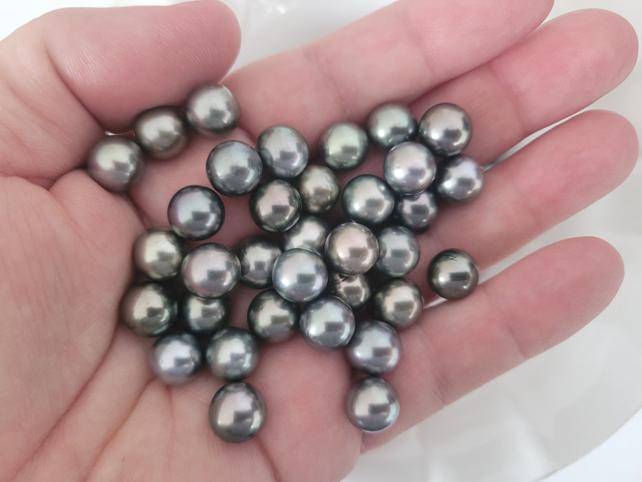 Tahiti Pearls loose 10 mm AAA semi-round shape |  The South Sea Pearl |  The South Sea Pearl