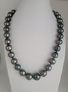 Tahiti Pearls 12-14 Dark Color and High Luster |  The South Sea Pearl |  The South Sea Pearl