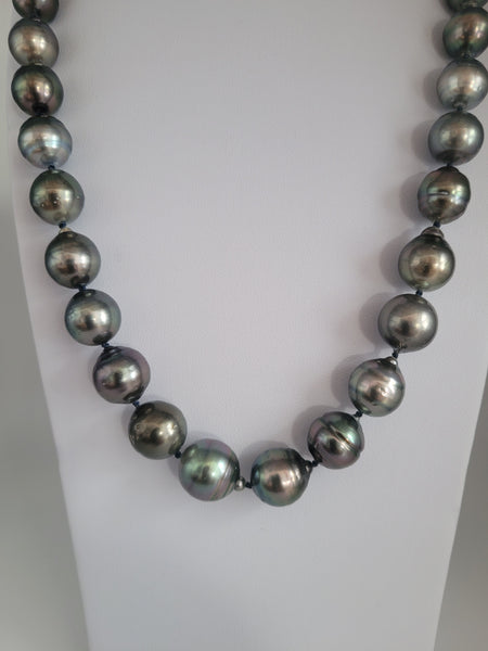 Tahiti Pearls 12-14 mm Dark Color and High Luster |  The South Sea Pearl |  The South Sea Pearl