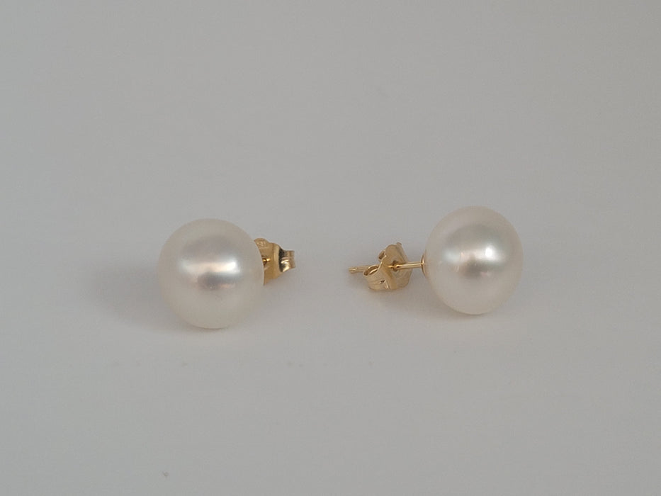 Witte Zuidzeeparels 10-11 mm oorbellen Stud 18K massief goud