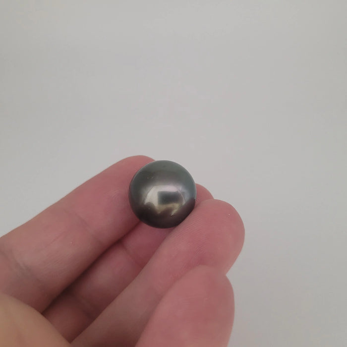 A Tahiti Pearl 16 mm of dark color and high Luster | The South Sea Pearl |  The South Sea Pearl