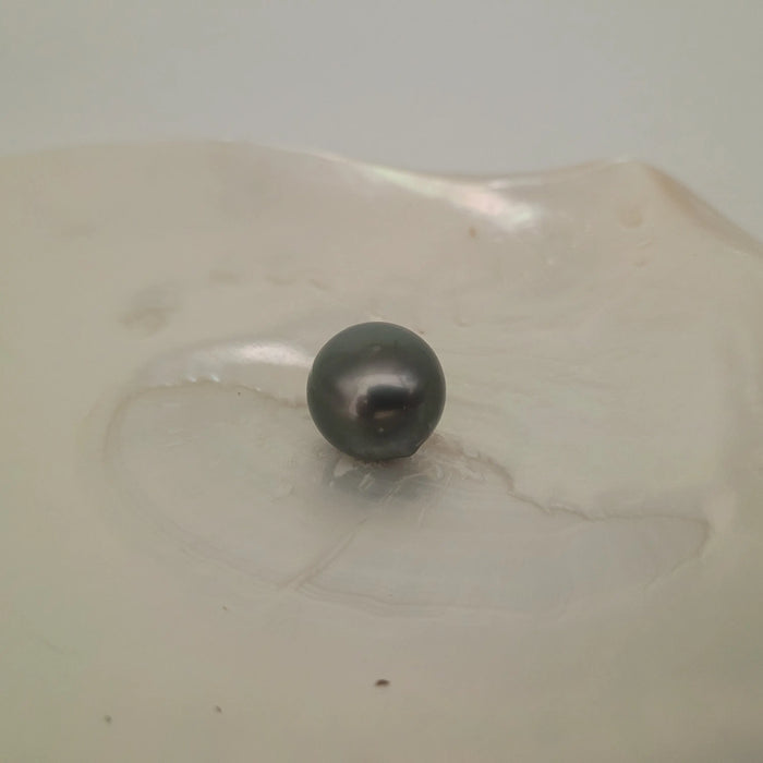 A Tahiti Pearl 16 mm of dark color and high Luster | The South Sea Pearl |  The South Sea Pearl