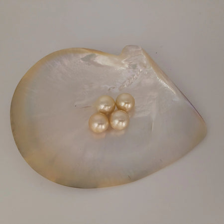 Golden South Sea Pearls 13 mm Round AAA Quality |  The South Sea Pearl |  The South Sea Pearl