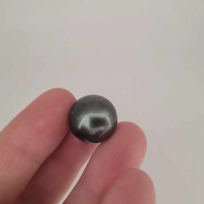 Tahiti Loose Pearl 16.70 mm Dark Color Very High Luster | The South Sea Pearl |  The South Sea Pearl