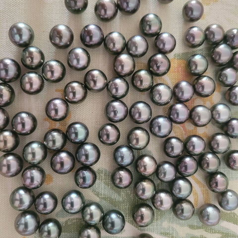 Loose dark Tahitian cultured pearls 11-12mm semi-round (Pinctada margaritifera) — The South Sea Pearl