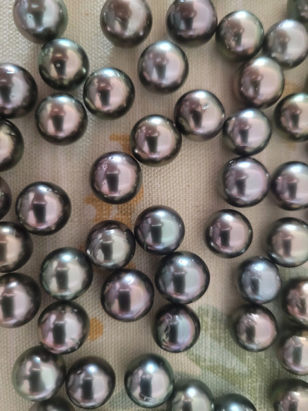 Tahiti Loose Pearls 11-12 mm AA Quality Cherry Color and High Luster | The South Sea Pearl |  The South Sea Pearl