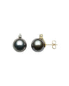 Tahiti Pearl Earrings 9-10 mm,  Natural Diamonds & 18K White Gold | The South Sea Pearl |  The South Sea Pearl