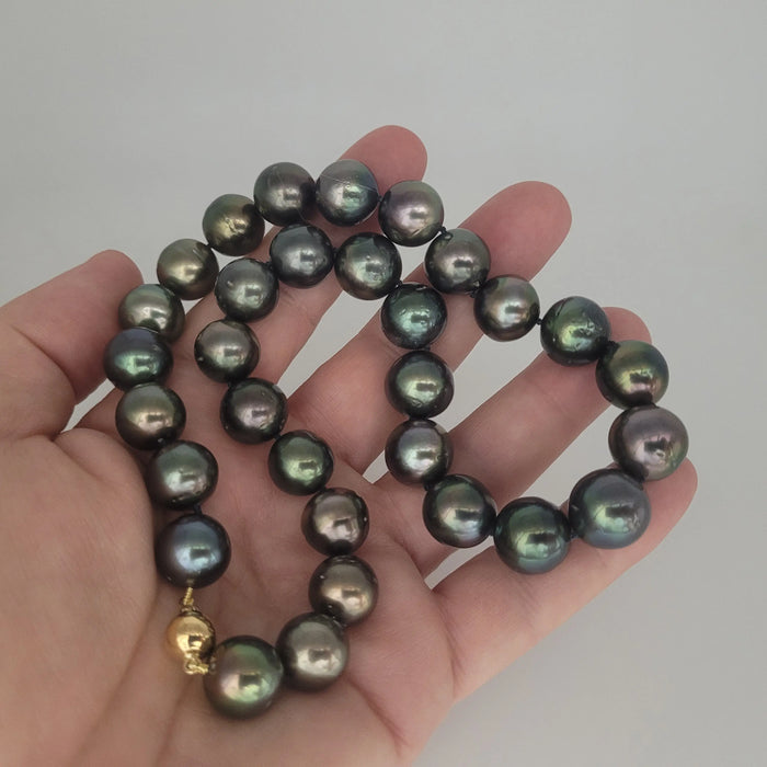 Tahiti Pearls 11-13 mm Round Very High Luster 18K Gold Clasp | The South Sea Pearl |  The South Sea Pearl