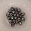 Tahiti Pearls 15-17 mm Dark Color Very High Luster Loose | The South Sea Pearl |  The South Sea Pearl