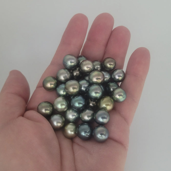 Tahiti Pearls Multi-Colors 11-12 mm AAA loose very high luster | The South Sea Pearl |  The South Sea Pearl