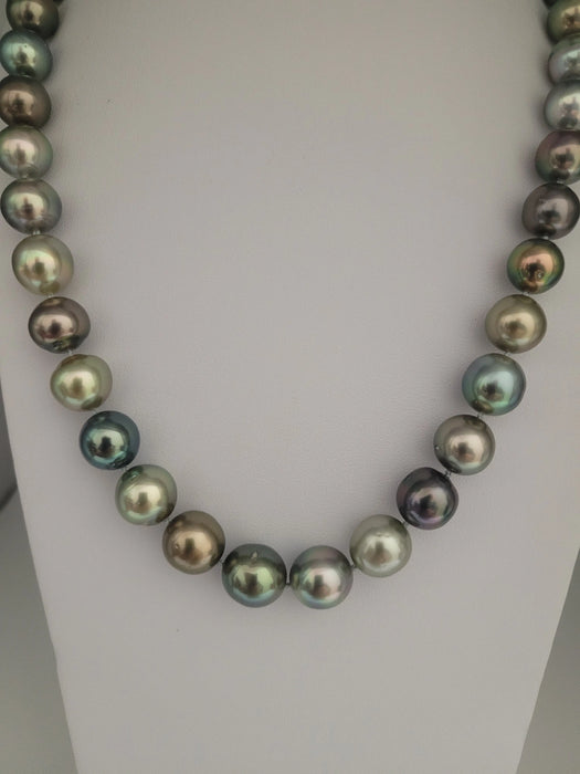 Tahiti Pearls Natural Multicolor 10-11 mm Round, 18K Gold Clasp | The South Sea Pearl |  The South Sea Pearl