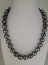Tahiti Pearls Necklace of Dark Natural Color 11-12 mm, High Luster, 18K Solid Gold Clasp | The South Sea Pearl |  The South Sea Pearl