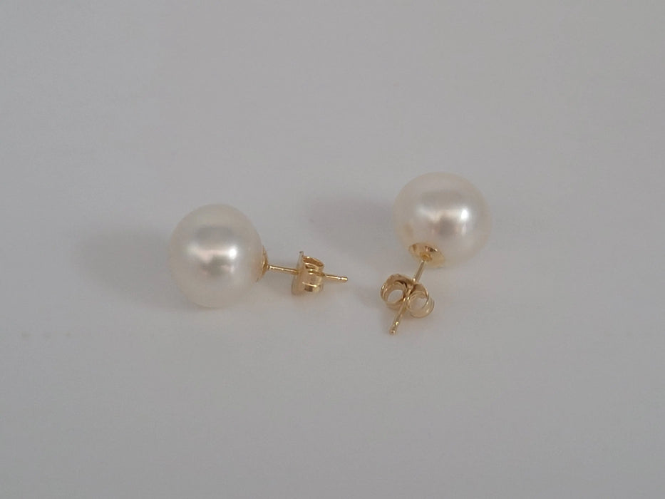 White South Sea Pearls 10-11 mm Earrings Stud 18K Solid Gold | The South Sea Pearl |  The South Sea Pearl