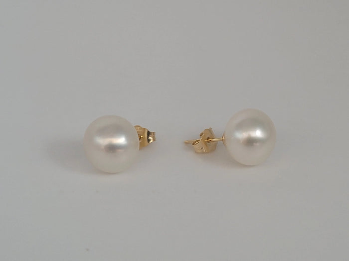 South Sea Pearl Earrings