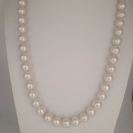 White South Sea Pearls 10-15 mm Very High Luster 18K Gold Clasp | The South Sea Pearl |  The South Sea Pearl