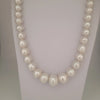 White South Sea Pearls 10-16 mm High Luster 18K Gold Clasp | The South Sea Pearl |  The South Sea Pearl