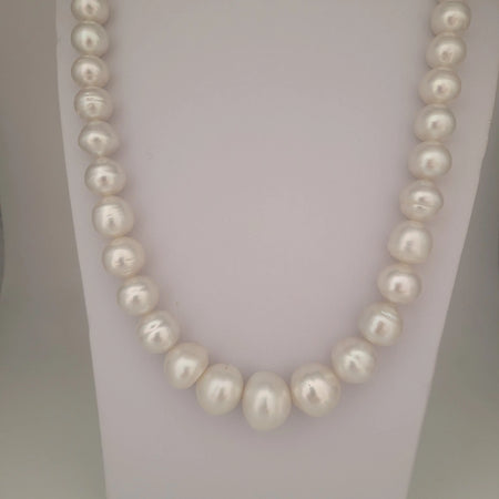 White South Sea Pearls 10-16 mm High Luster 18K Gold Clasp | The South Sea Pearl |  The South Sea Pearl