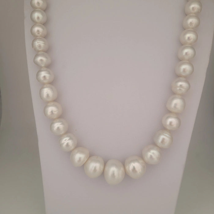 White South Sea Pearls 10-16 mm High Luster 18K Gold Clasp | The South Sea Pearl |  The South Sea Pearl