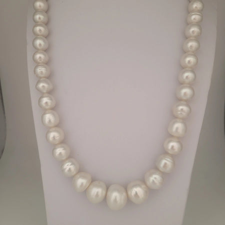 White South Sea Pearls 10-16 mm High Luster 18K Gold Clasp | The South Sea Pearl |  The South Sea Pearl