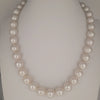 White South Sea Pearls 11-13 mm Very High Luster 18K Gold Clasp | The South Sea Pearl |  The South Sea Pearl