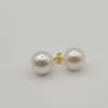White South Sea Pearl Earrings 10  mm Round Shape White Color | The South Sea Pearl |  The South Sea Pearl