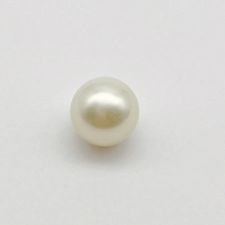 South Sea Pearl 13 mm Loose Grade 1 |  The South Sea Pearl |  The South Sea Pearl