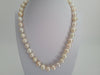 South Sea Pearls 9-11 mm Natural Colors - Only at  The South Sea Pearl