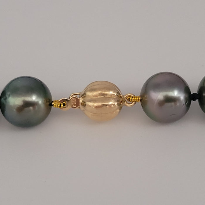 Tahiti Pearls Necklace of Dark  olor with Green and Sherry Overtones, Round, High Luster, 18K Gold Clasp |  The South Sea Pearl |  The South Sea Pearl