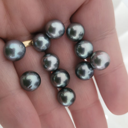 Tahiti Pearls Loose 9 mm Round |  The South Sea Pearl |  The South Sea Pearl