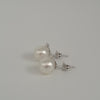 Earring studs of White South Sea Pearls AAA, Diamonds and 18K White Solid Gold |  The South Sea Pearl |  The South Sea Pearl