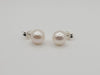 Akoya Pearl Earrings in 925 Sterling Silver - Sizes range from 7 to 9mm -  The South Sea Pearl