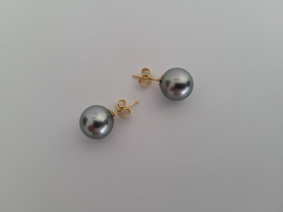 18K Tahitian Pearl Earrings, Manufactured in 18K Solid Yellow Gold, Sizes from 9 to 11mm -  The South Sea Pearl