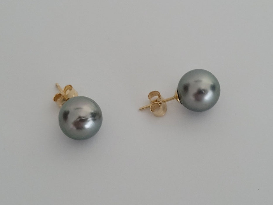 18K Tahitian Pearl Earrings, Manufactured in 18K Solid Yellow Gold, Sizes from 9 to 11mm -  The South Sea Pearl