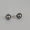 Tahitian Pearl Earrings in 925 Sterling Silver - Sizes from 9-11mm | The South Sea Pearl |  The South Sea Pearl