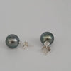Tahitian Pearl Earrings in 925 Sterling Silver - Sizes from 9-11mm | The South Sea Pearl |  The South Sea Pearl