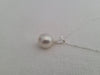 South Sea Pearl White Color, 13 x 11 mm Tear-Drop - Only at  The South Sea Pearl