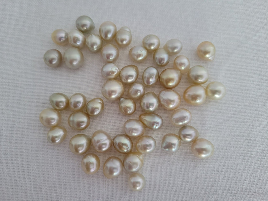 South Sea Pearls 10-12 mm Drop Shape Natural Color - Only at  The South Sea Pearl