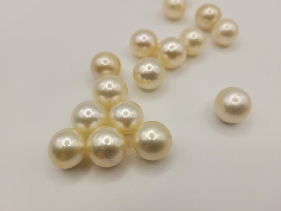South Sea Pearls 12 mm Natural Color and High Luster - Only at  The South Sea Pearl