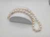 South Sea Pearls White Color 8-9 mm, 18 Karat Solid Gold Clasp - The South Sea Pearl